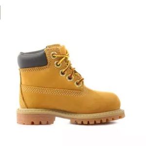Timberland 6” Premium Waterproof Boot